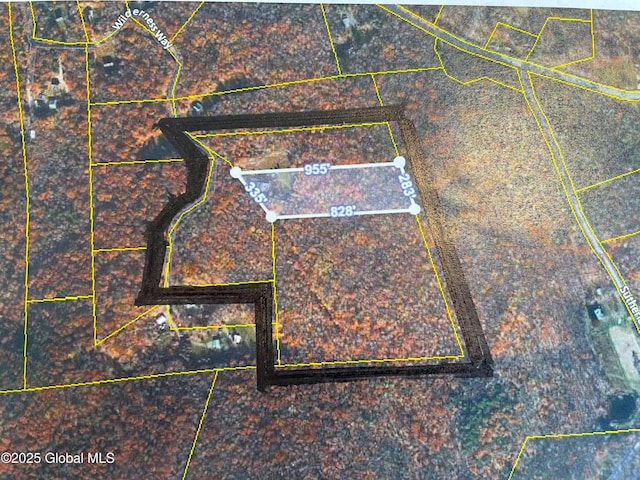 107 Wilderness Way, Stephentown, NY 12169 - map / location featuring property parcel outlined