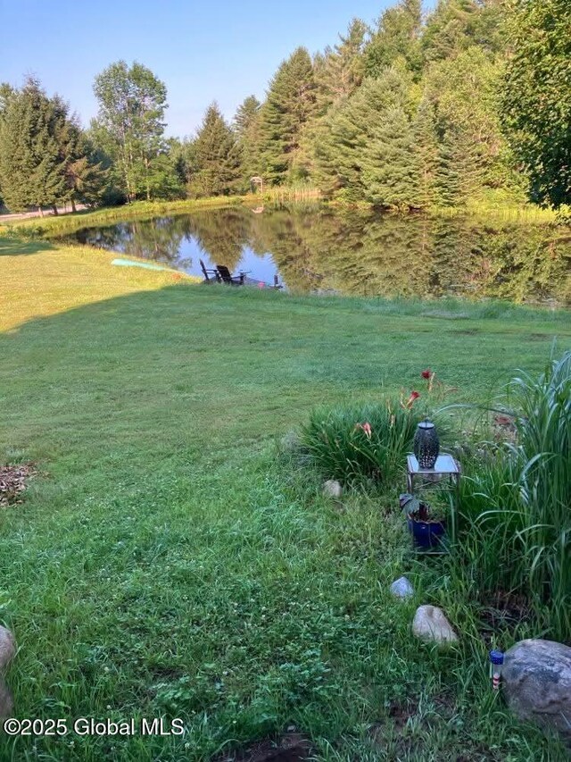 1486 County Highway 112, Caroga, NY 12032 - view of yard featuring a water view