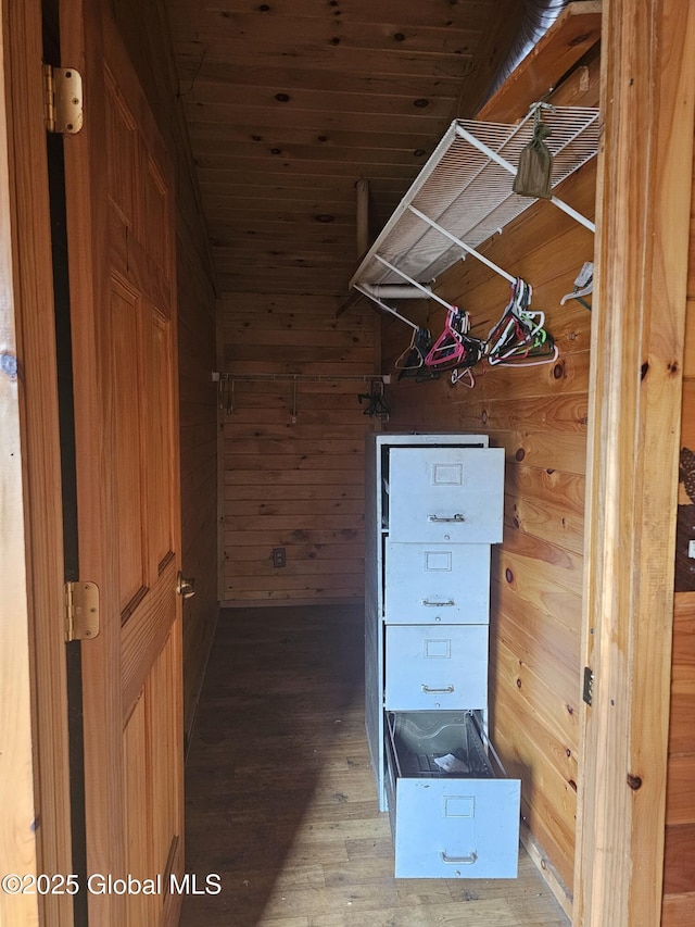 spacious closet featuring wood finished floors