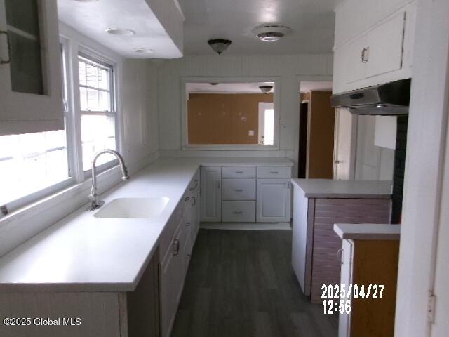 kitchen featuring a sink, white cabinetry, dark wood-type flooring, under cabinet range hood, and light countertops