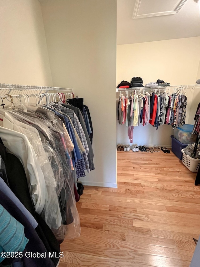 walk in closet with attic access and wood finished floors