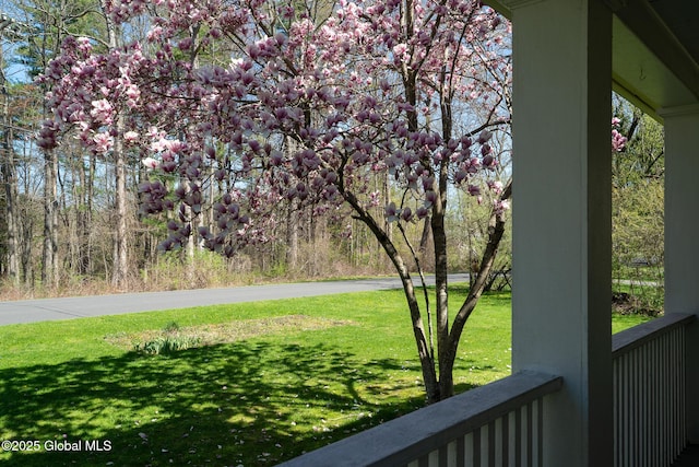 view of grassy yard