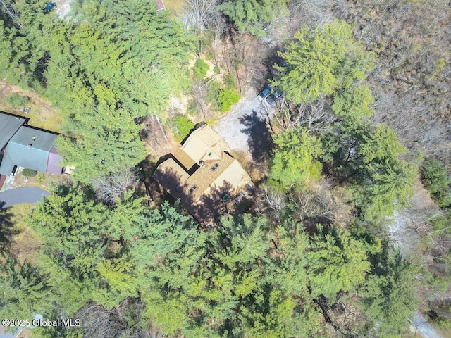 25 Birch Dr, Bolton, NY 12824 - aerial view of property and surrounding area