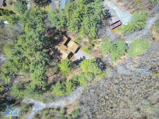 25 Birch Dr, Bolton, NY 12824 - aerial overview of property's location