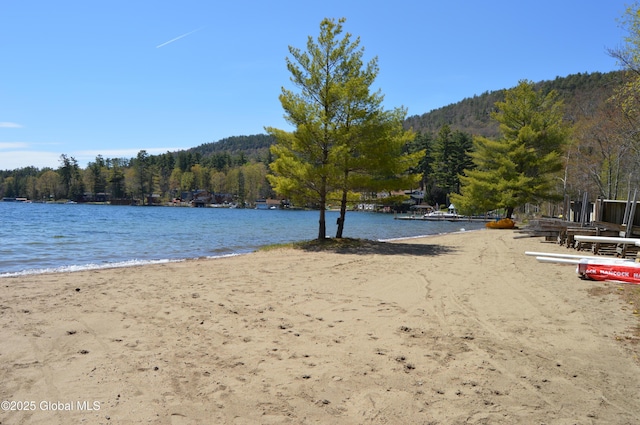 25 Birch Dr, Bolton, NY 12824 - water view with a forest