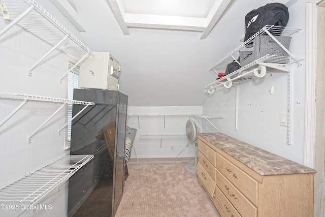 spacious closet featuring light colored carpet