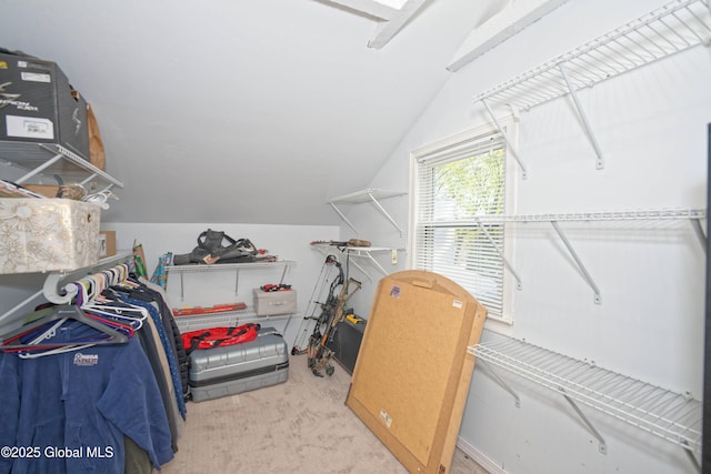 spacious closet with carpet floors and lofted ceiling