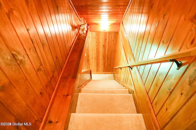 stairs featuring wooden walls