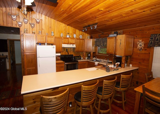 kitchen with stainless steel range with electric cooktop, freestanding refrigerator, under cabinet range hood, wood walls, and lofted ceiling