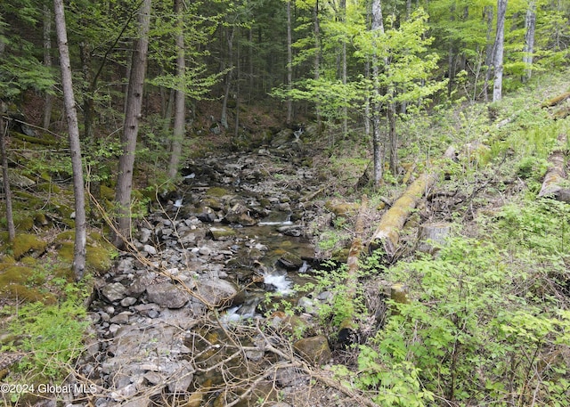 view of local wilderness featuring a wooded view