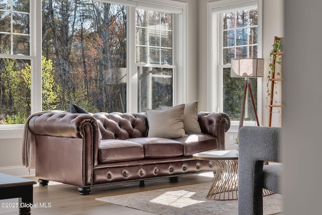 living area featuring wood finished floors