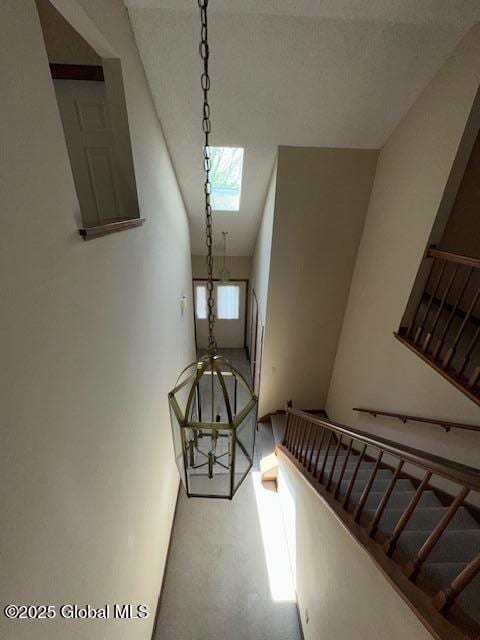 stairs featuring a skylight