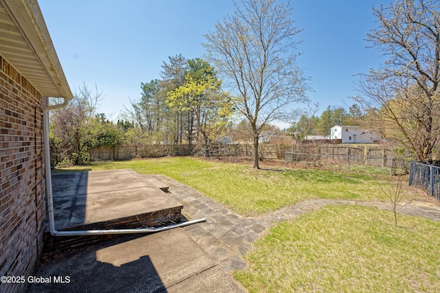 view of yard featuring a patio and a fenced backyard