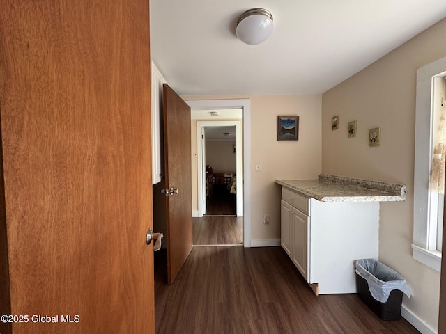 interior space with baseboards and dark wood-type flooring