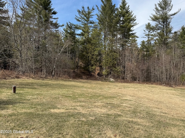 view of yard featuring a view of trees