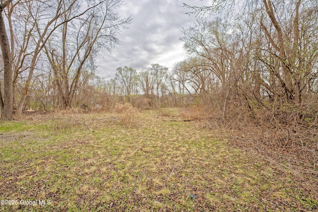 view of nature