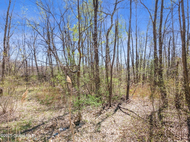 190 Garden St, Rotterdam, NY 12306