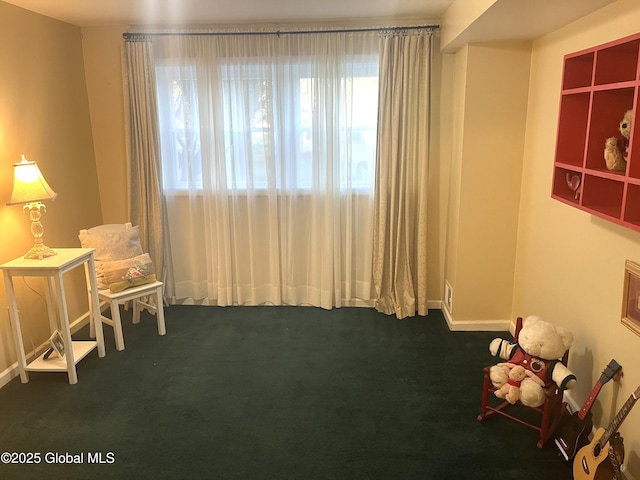 living area featuring carpet