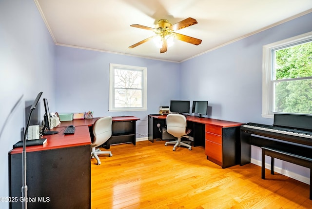 office space featuring ornamental molding, ceiling fan, baseboards, and light wood-type flooring