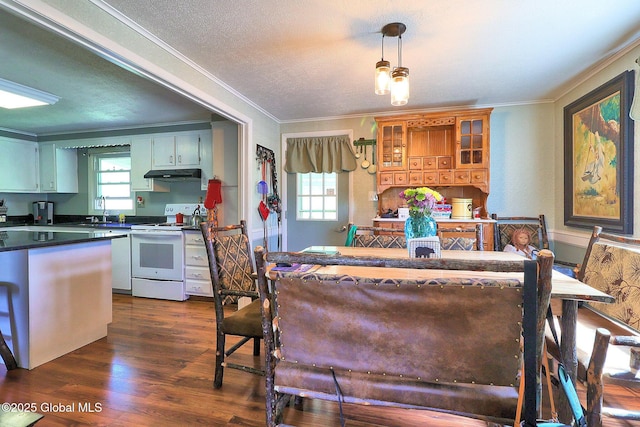 kitchen with under cabinet range hood, electric range, crown molding, and a wealth of natural light