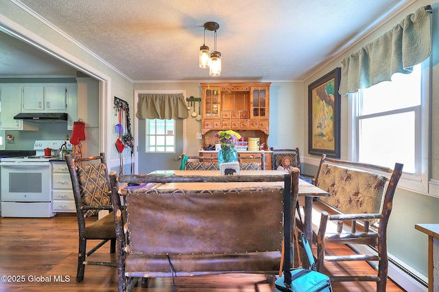 dining space featuring ornamental molding, dark wood-style flooring, a textured ceiling, and a baseboard radiator