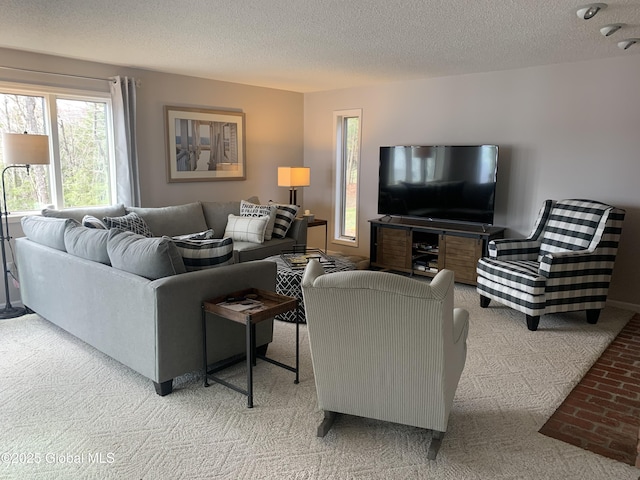 living room featuring carpet and a textured ceiling