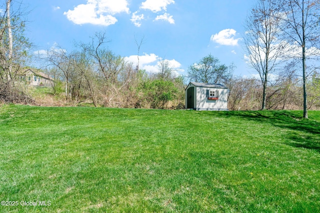 view of yard featuring a storage shed and an outdoor structure