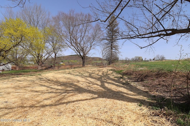 view of yard with a rural view
