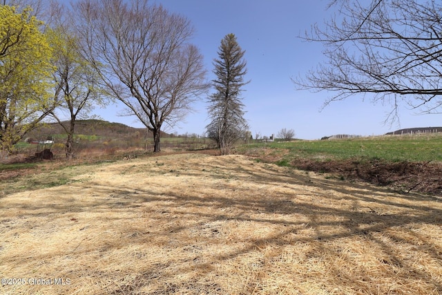 view of yard with a rural view
