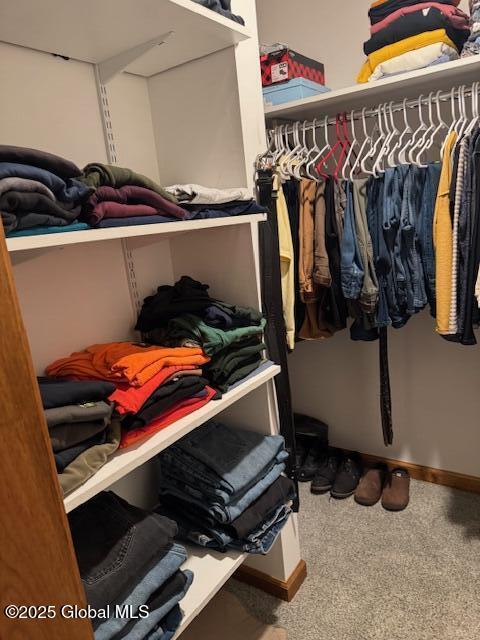 spacious closet featuring carpet