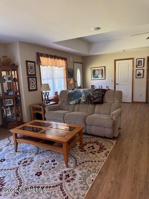 living room featuring a tray ceiling and wood finished floors