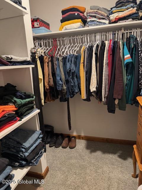 spacious closet featuring carpet flooring