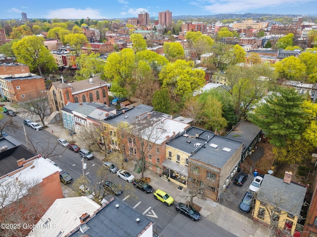 bird's eye view