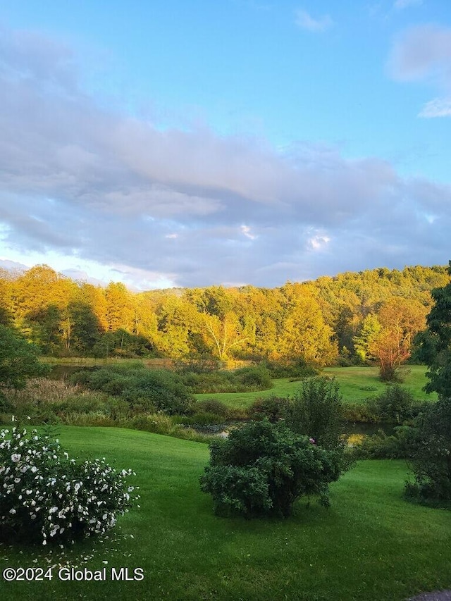 71 S Rd, Hampton, NY 12887 - view of home's community featuring a yard and a wooded view