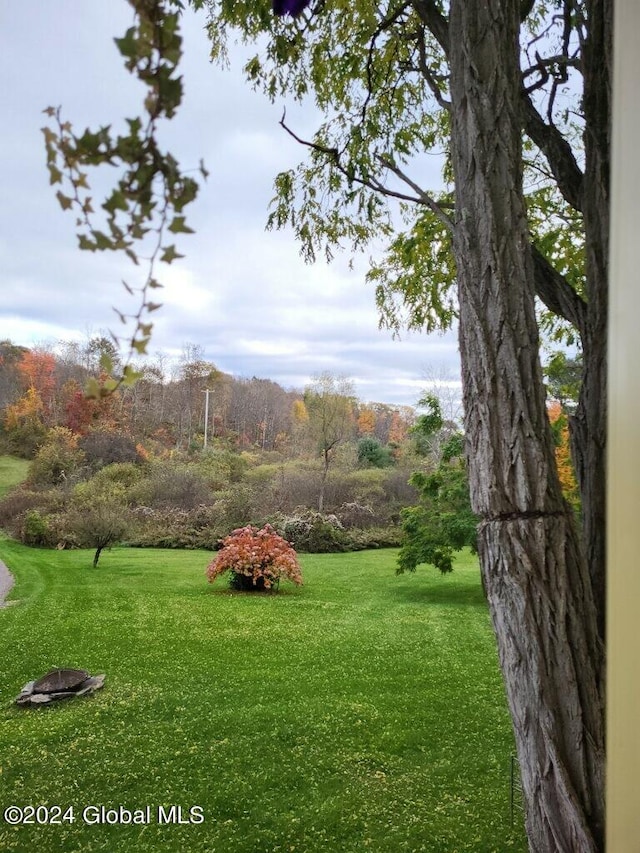 71 S Rd, Hampton, NY 12887 - view of green lawn