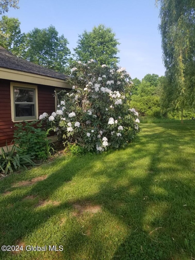 71 S Rd, Hampton, NY 12887 - view of green lawn