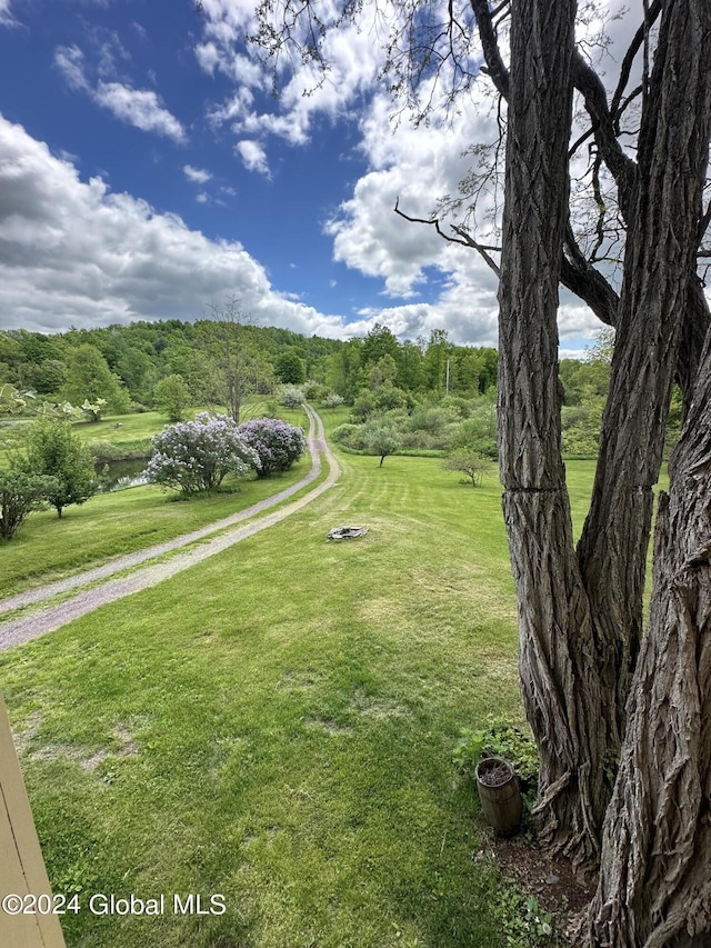 71 S Rd, Hampton, NY 12887 - view of home's community featuring a lawn