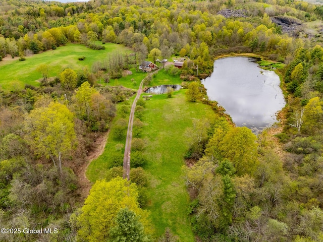 71 S Rd, Hampton, NY 12887 - drone / aerial view of a nearby body of water and a forest