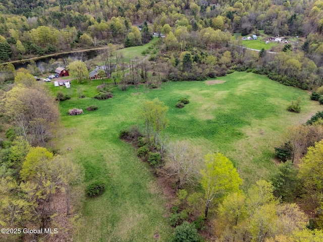 71 S Rd, Hampton, NY 12887 - bird's eye view of a heavily wooded area