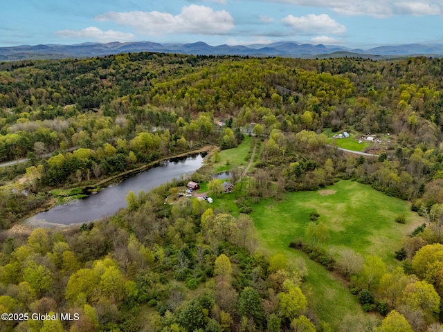 71 S Rd, Hampton, NY 12887 - bird's eye view of a heavily wooded area and a water and mountain view