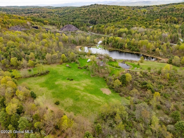 71 S Rd, Hampton, NY 12887 - aerial view of a forest and a nearby body of water