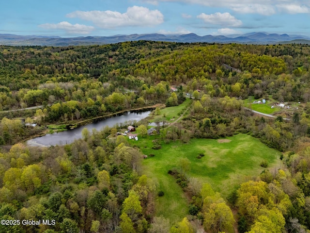 71 S Rd, Hampton, NY 12887 - drone / aerial view of a forest and a water and mountain view