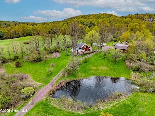 71 S Rd, Hampton, NY 12887 - view from above of property featuring a nearby body of water and a forest