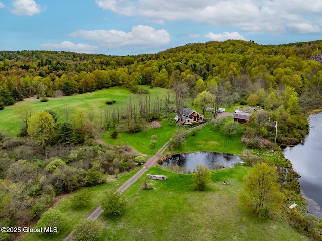 71 S Rd, Hampton, NY 12887 - drone / aerial view of a large body of water and a heavily wooded area