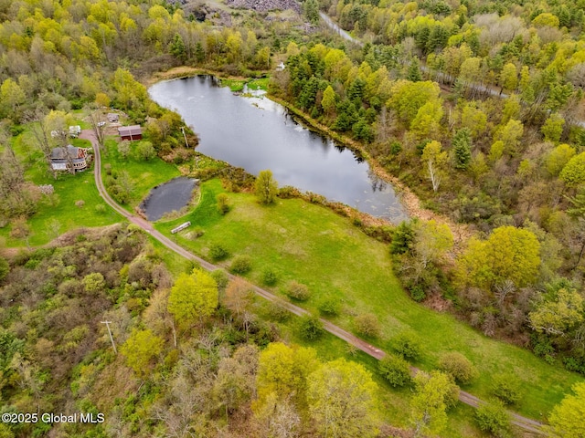 71 S Rd, Hampton, NY 12887 - bird's eye view of a nearby body of water