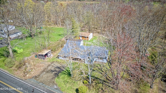 bird's eye view