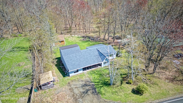 bird's eye view