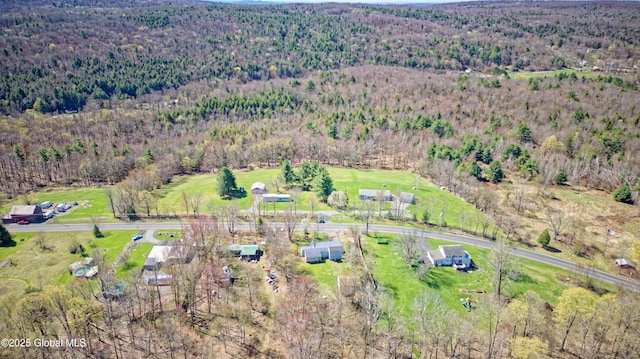bird's eye view with a wooded view