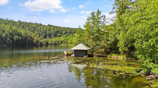 water view with a wooded view and a boat dock