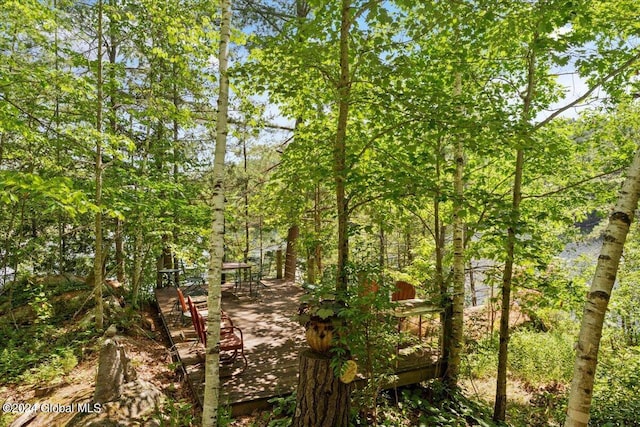 view of landscape